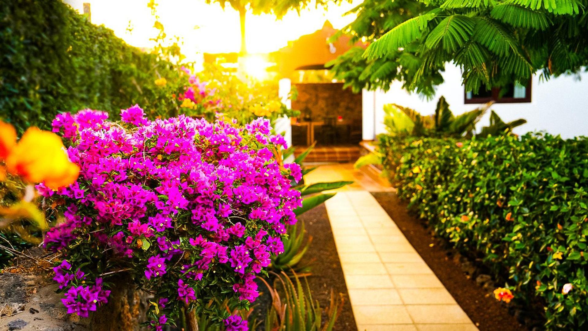Villa Azul Fuerteventura Villaverde  Exterior foto