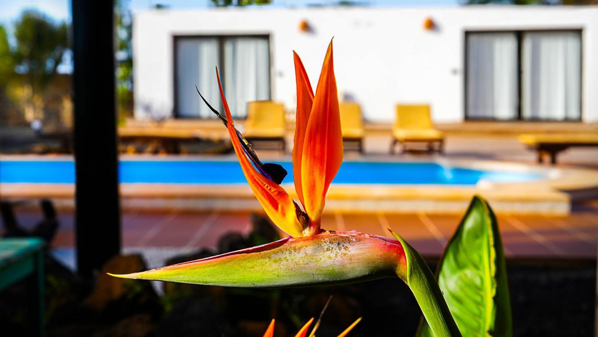 Villa Azul Fuerteventura Villaverde  Exterior foto